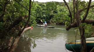 カニがかわいい