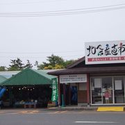 東郷湖・赤碕観光　(8)　道の駅「北条公園（ほくじょうおうえん）」で野菜・果物を見る