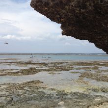 ワタンジが広がる