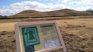 ポピーが咲き誇る古墳