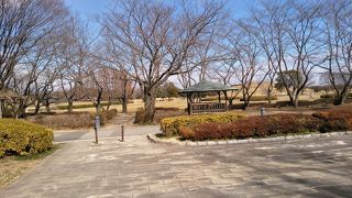 古墳が一杯の公園