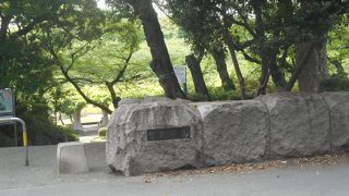 江戸川沿いの公園