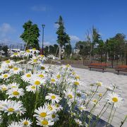 三角形の公園