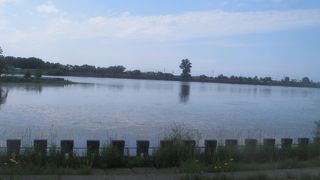 のんびりした風情