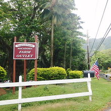 道路からの入口