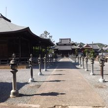 酒見寺で撮影