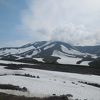 高山植物好きな方どうぞ。