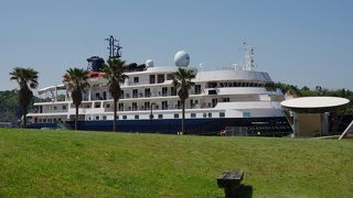 マリーナ萩へ豪華客船、カレドニアンスカイの入港を見学に行きました