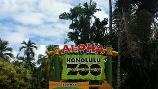 大人ものんびり楽しめます！