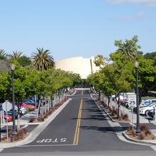 ミュジックウエイより見る