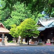 埼玉の屋久島、それとも白神山地？／森の最終形：極相林が見れる場所