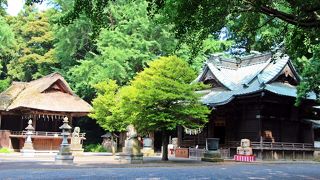 埼玉の屋久島、それとも白神山地？／森の最終形：極相林が見れる場所