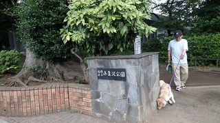 公園内は広くて遊具も多いです。