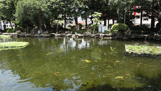 素敵な場所です