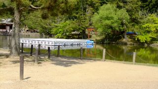 東大寺の大きな池