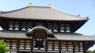 メインスポット