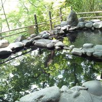 露天風呂。木々の間から山々が見えます。