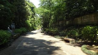 素敵な散策路。