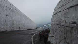 大谷は４月がおすすめ