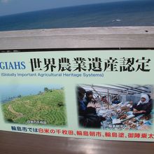 白米千枚田で撮影