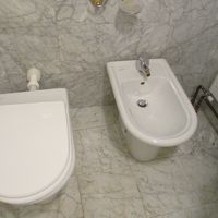 ビデもついています。