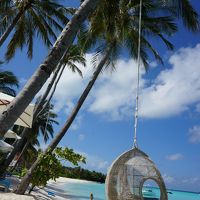 食事ができるビーチ