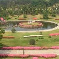 皐月が満開の庭園