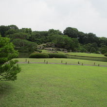 綺麗に整備されています。