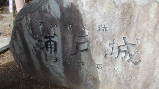 長宗我部のお城