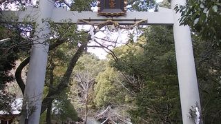 長宗我部の神社