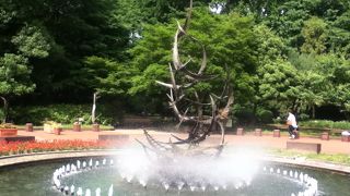 ベンチで見てると、心癒される