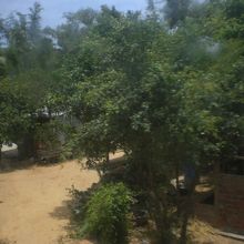 乗車間に、車内放送で降りるべき駅が判らず、不安になります。