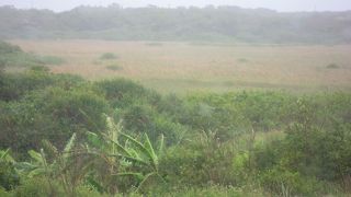 道からはよく見えない