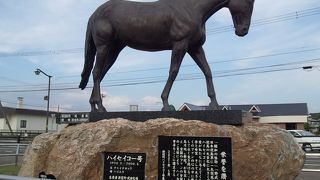 お馬さんグッズがいっぱい！