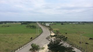 牧草地の中に伸びる道