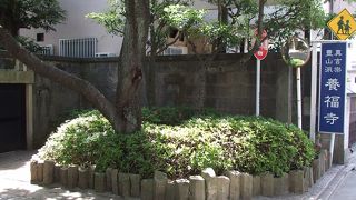 さまざまな碑があるお寺ですよ。