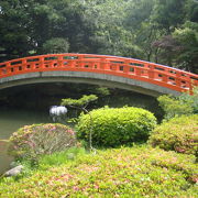 日本庭園の趣
