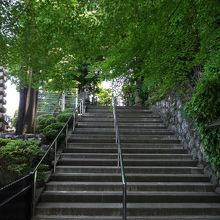 この石段を上ったところが墓所