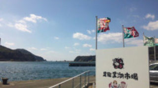 新鮮な魚のランチ！清水サバ