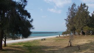 結構楽しめますね