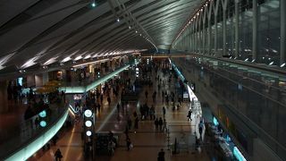 大きくなりすぎ