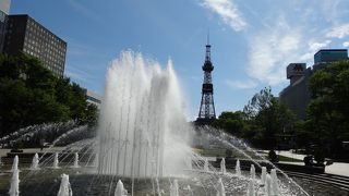 ライラックがちょうど咲いていました。