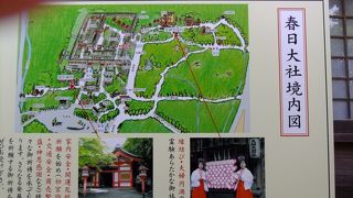 特別公開中でした。