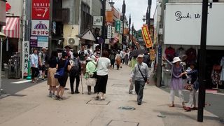 見て回るだけで楽しい