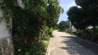 子連れにオススメ