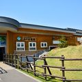 小さな水族館ですが、工夫がいっぱい！！