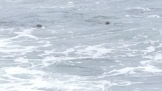 ピジョン ポイント ライト ステーション