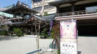 静かで落ち着いて見学します