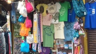 Ｔシャツが素敵