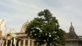 本堂の半円屋根のモチーフ